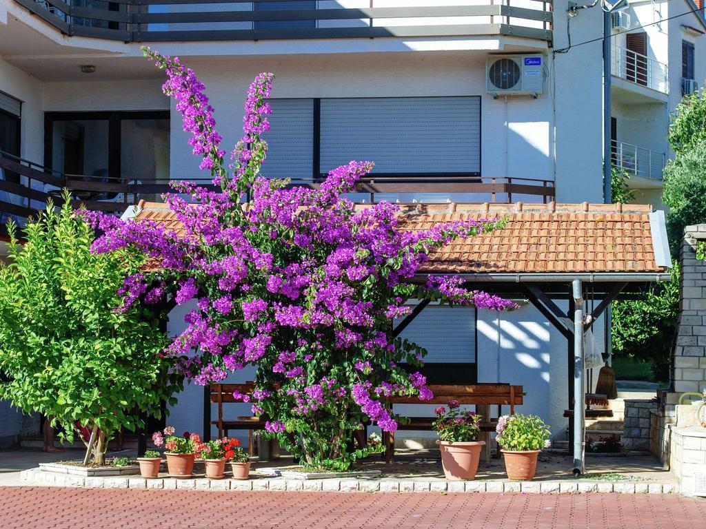 Apartment Gold & Gray Zadar Exterior photo